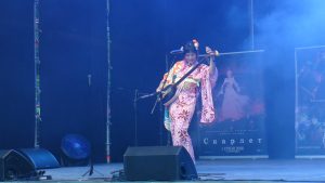Summer Anime & K-Pop Fest у Вінниці