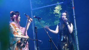 Summer Anime & K-Pop Fest у Вінниці