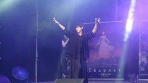 Summer Anime & K-Pop Fest у Вінниці
